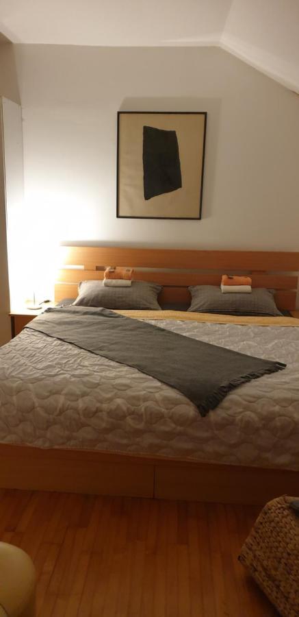 Apartments Bikica Vrnjacka Banja Bagian luar foto