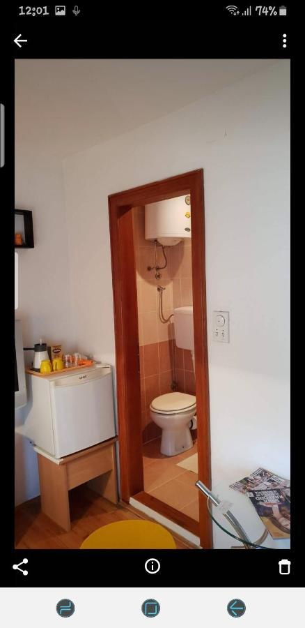 Apartments Bikica Vrnjacka Banja Bagian luar foto